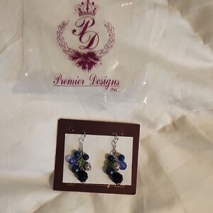 Premier Designs Multicolor Beaded Earrings